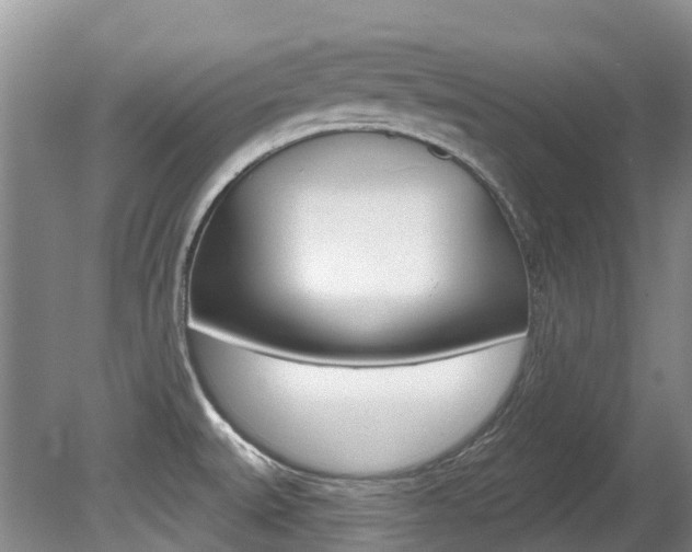 X0000080671527200612150748