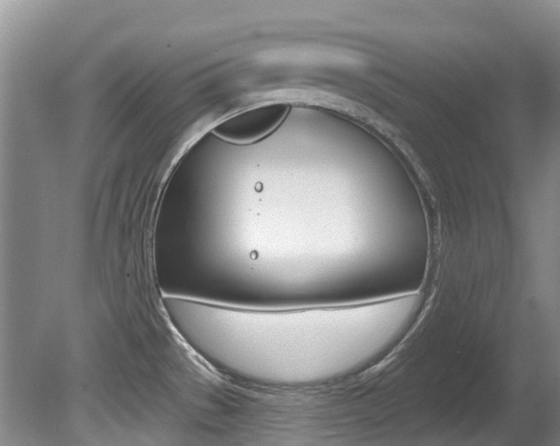 X0000080671529200612150748