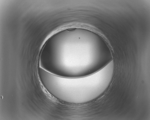 X0000080671530200612150748