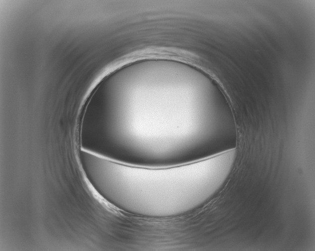 X0000080671531200612150748