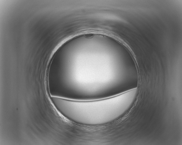 X0000080671533200612150748