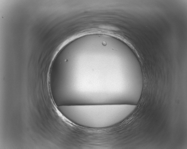 X0000080671535200612150748