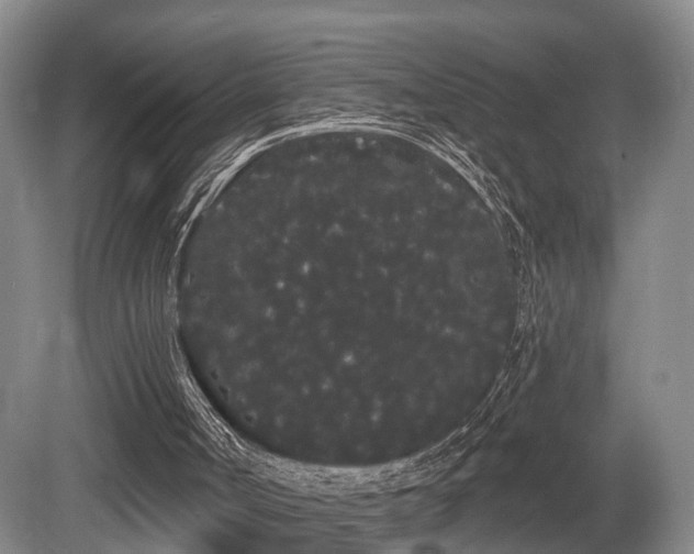 X0000080670002200612151209