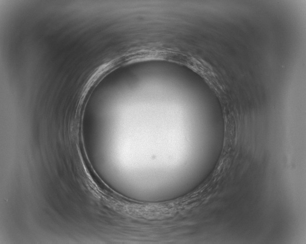 X0000080670003200612151209