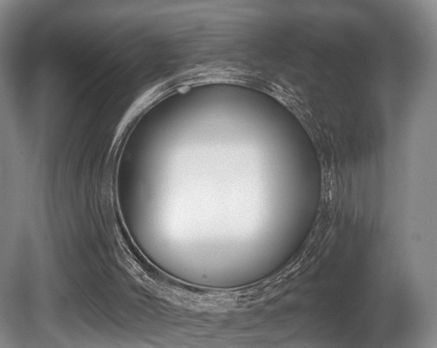 X0000080670004200612151209