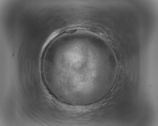X0000080670006200612151209