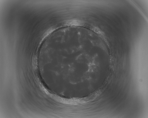 X0000080670012200612151209