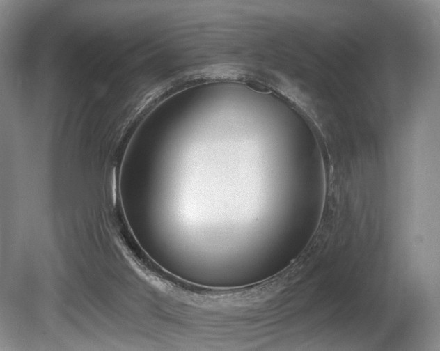 X0000080670013200612151209