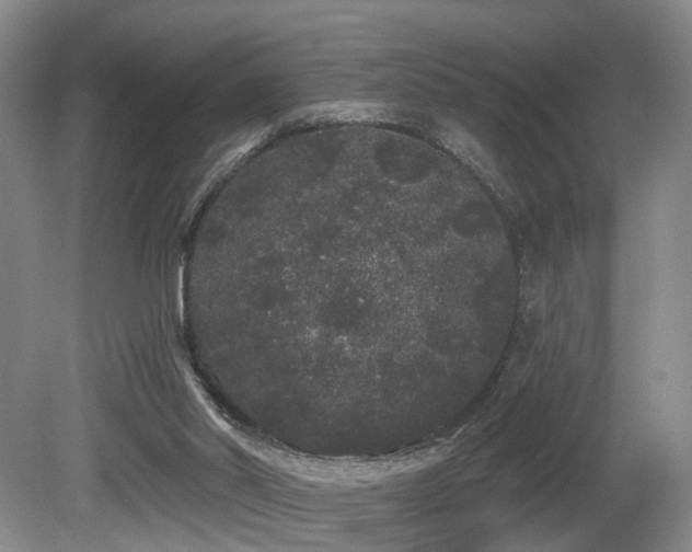 X0000080670014200612151209