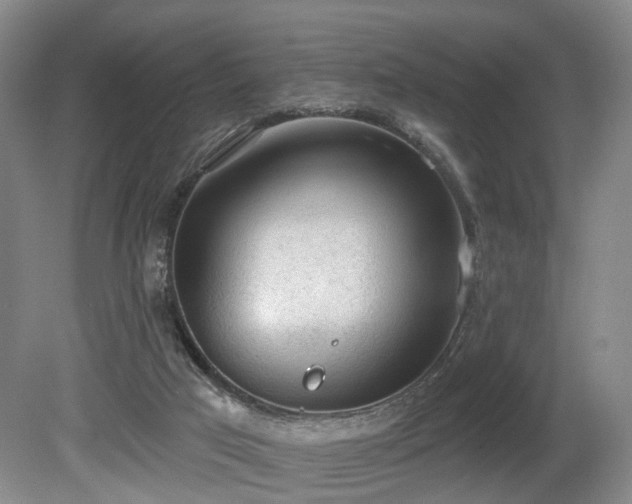 X0000080670017200612151209