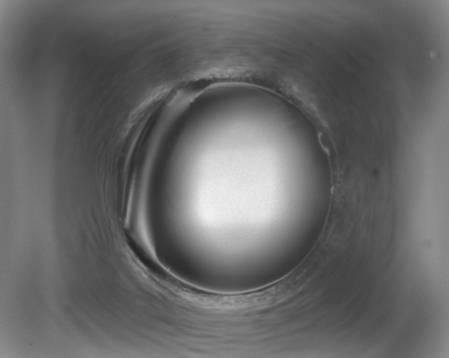 X0000080670019200612151208
