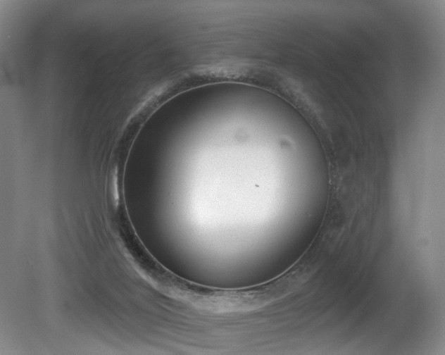 X0000080670020200612151208