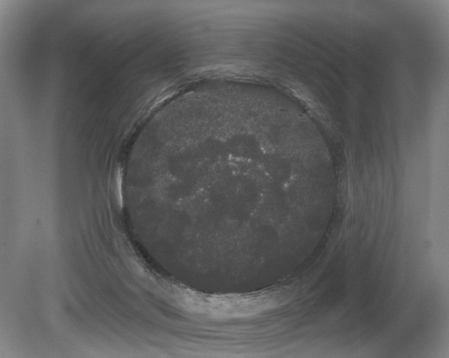 X0000080670022200612151208