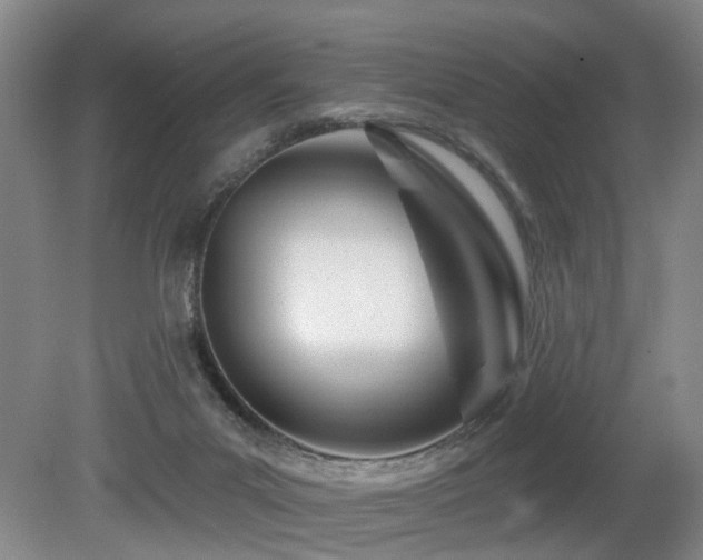 X0000080670023200612151208
