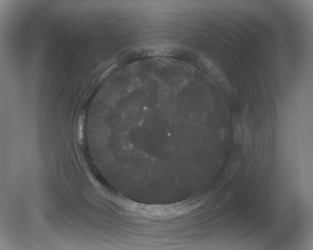 X0000080670026200612151208