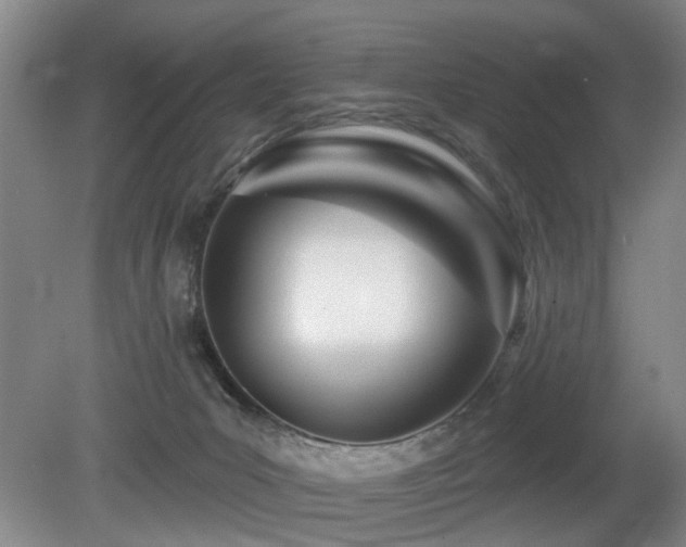X0000080670031200612151208