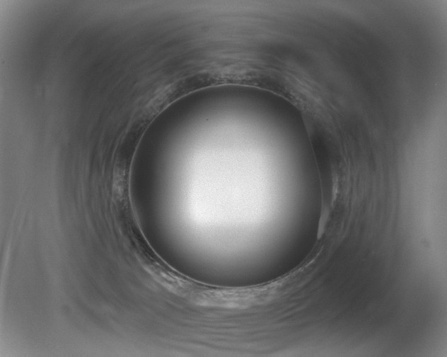 X0000080670033200612151208