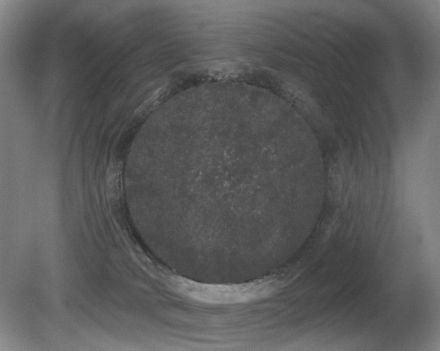 X0000080670034200612151208