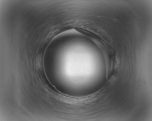 X0000080670035200612151208