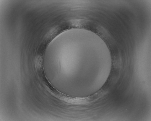 X0000080670036200612151208