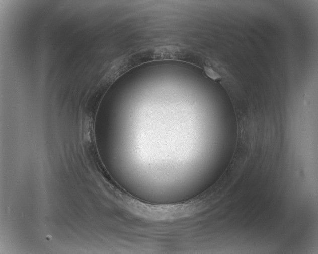 X0000080670038200612151208