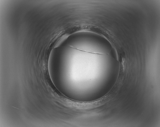 X0000080670039200612151208