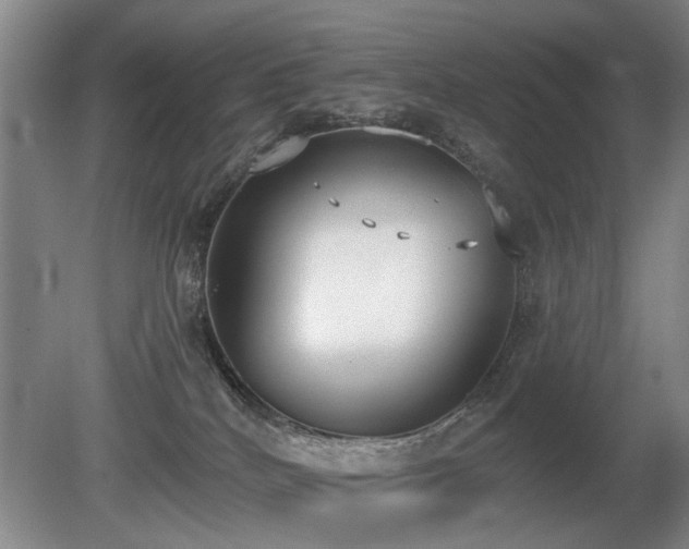 X0000080670040200612151208