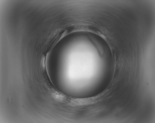 X0000080670041200612151208