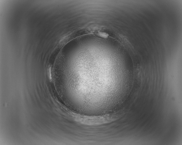 X0000080670042200612151208