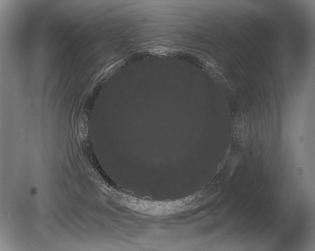 X0000080670043200612151208