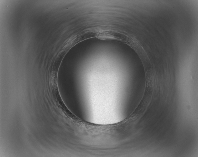 X0000080670044200612151208