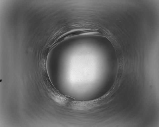 X0000080670045200612151208