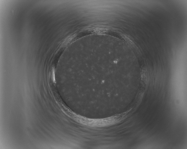 X0000080670046200612151208