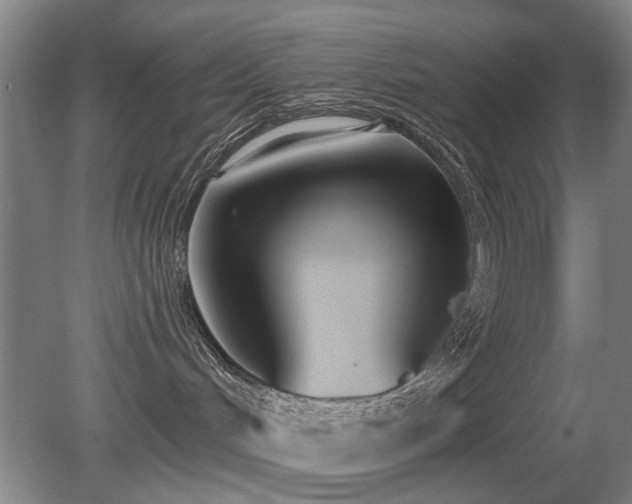 X0000080670048200612151208