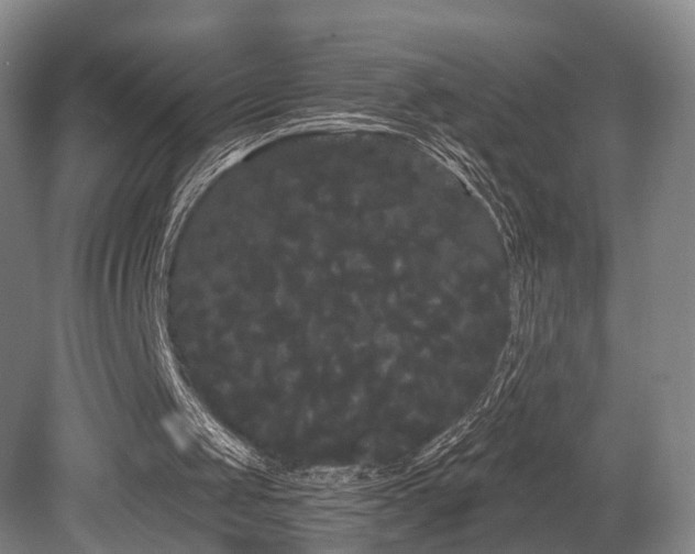 X0000080670049200612151207