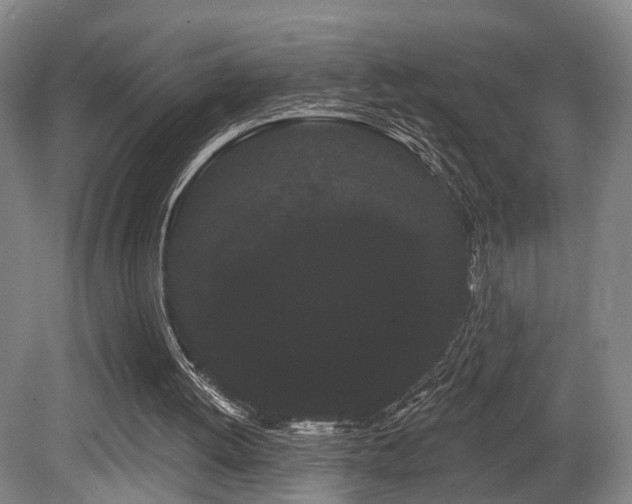 X0000080670052200612151207