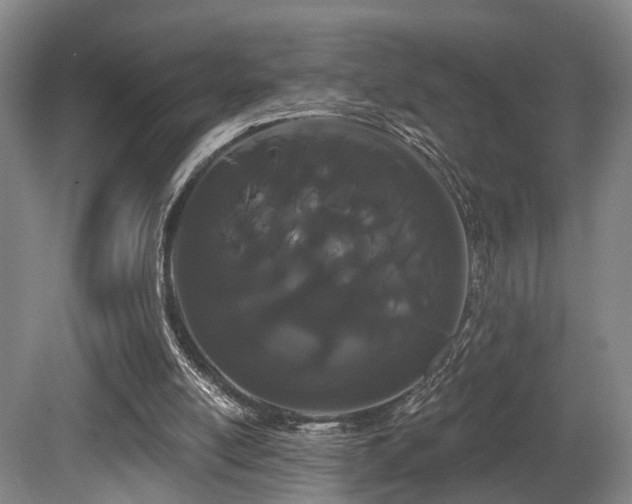 X0000080670054200612151207