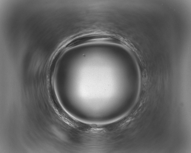 X0000080670055200612151207