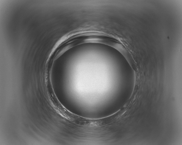 X0000080670056200612151207