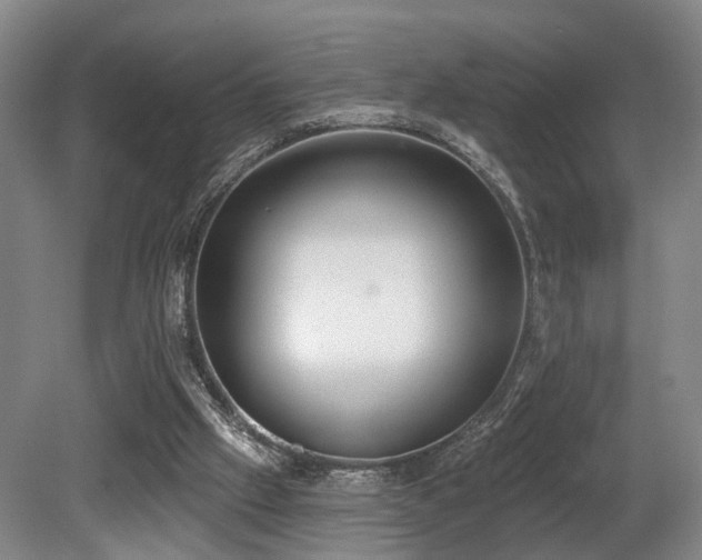 X0000080670057200612151207