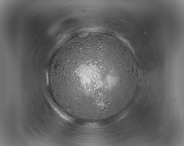 X0000080670061200612151207