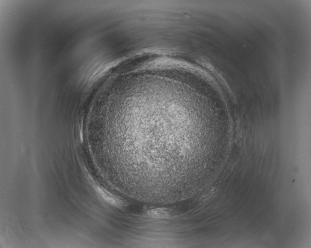 X0000080670062200612151207