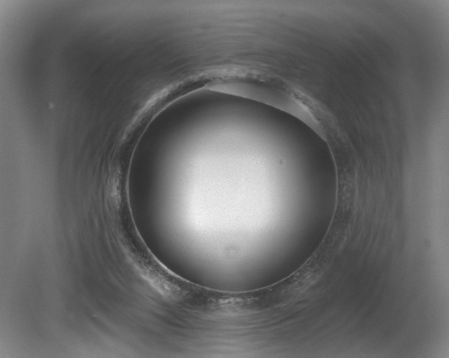 X0000080670064200612151207