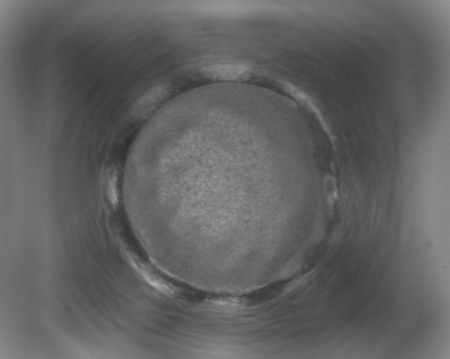 X0000080670069200612151208