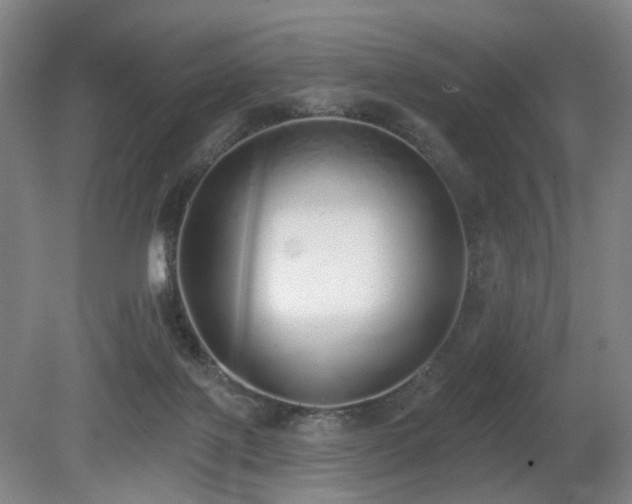 X0000080670075200612151208