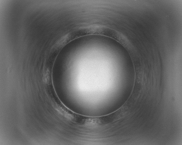 X0000080670077200612151208