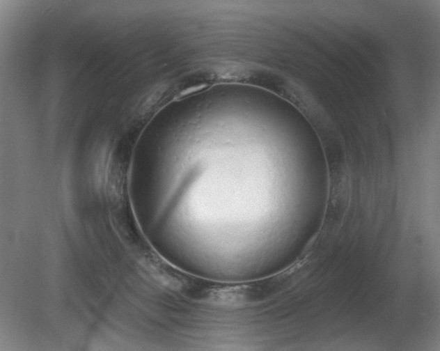 X0000080670078200612151208