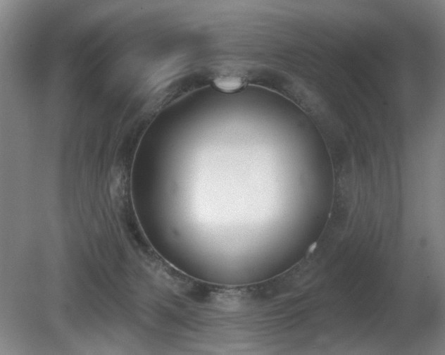 X0000080670079200612151208