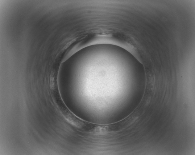X0000080670080200612151208