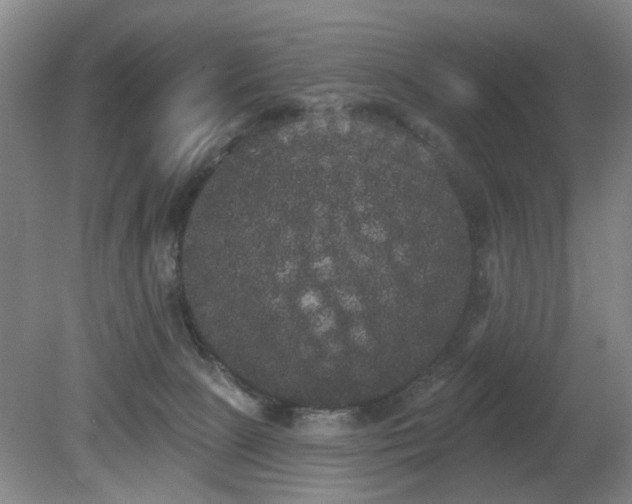 X0000080670081200612151208